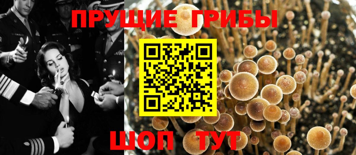 Меф кристаллы  Симферополь  Cocaine  Гашиш  Как найти наркотики?  Канабис  NBOMe 