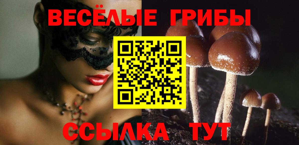 Псилоцибиновые грибы прущие грибы Симферополь