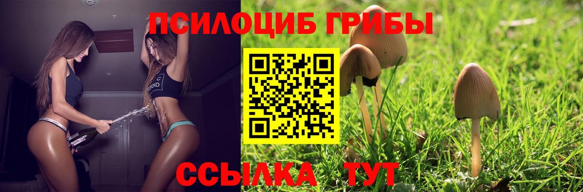 Псилоцибиновые грибы Cubensis  Вход с VPN  Симферополь 