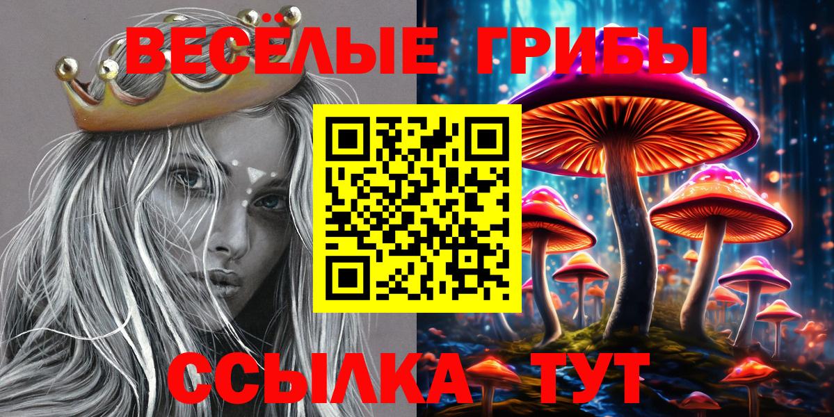 Галлюциногенные грибы Cubensis Симферополь